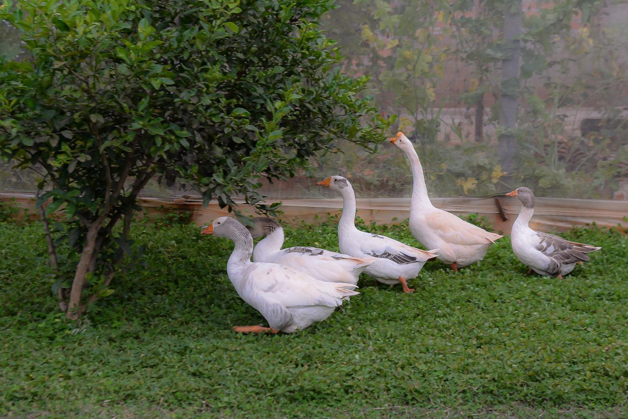 Casa de Campo: Tranquil Retreat Near Iguazu Falls Foz do Iguacu Exterior photo